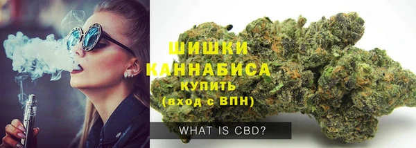 ГАЛЛЮЦИНОГЕННЫЕ ГРИБЫ Заводоуковск