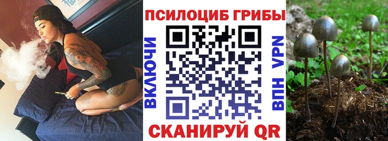 Купить  Чудово  Псилоцибиновые грибы ЛСД 